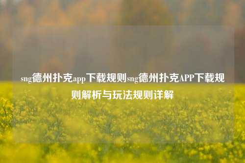 sng德州扑克app下载规则sng德州扑克APP下载规则解析与玩法规则详解