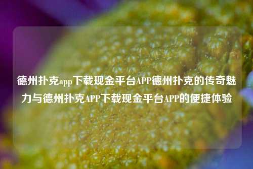 德州扑克app下载现金平台APP德州扑克的传奇魅力与德州扑克APP下载现金平台APP的便捷体验