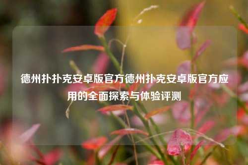 德州扑扑克安卓版官方德州扑克安卓版官方应用的全面探索与体验评测
