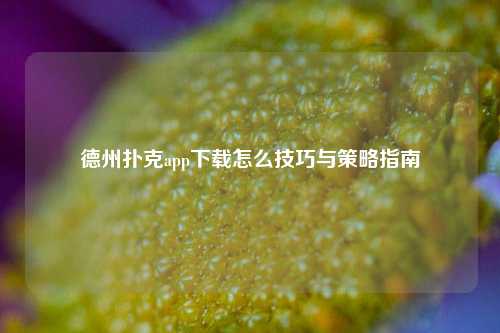 德州扑克app下载怎么技巧与策略指南