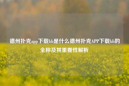 德州扑克app下载bb是什么德州扑克APP下载bb的全称及其重要性解析