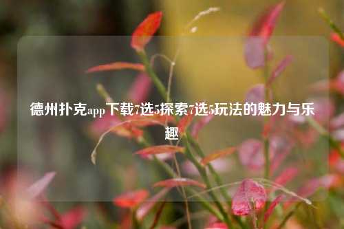 德州扑克app下载7选5探索7选5玩法的魅力与乐趣