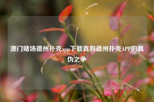澳门赌场德州扑克app下载真假德州扑克APP的真伪之争