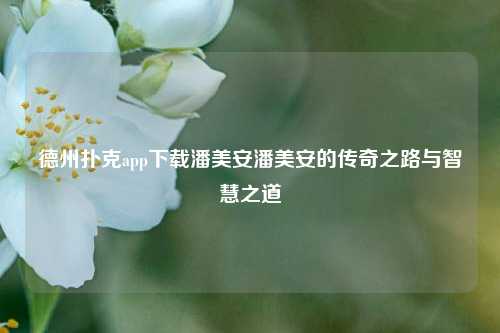 德州扑克app下载潘美安潘美安的传奇之路与智慧之道