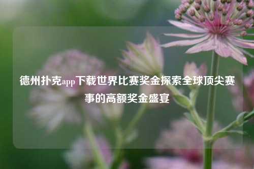 德州扑克app下载世界比赛奖金探索全球顶尖赛事的高额奖金盛宴