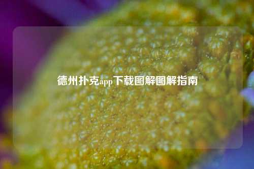 德州扑克app下载图解图解指南