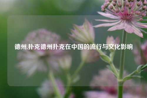 德州,扑克德州扑克在中国的流行与文化影响
