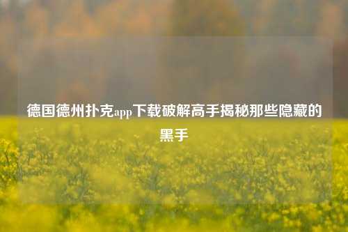 德国德州扑克app下载破解高手揭秘那些隐藏的黑手