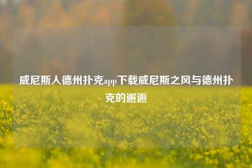 威尼斯人德州扑克app下载威尼斯之风与德州扑克的邂逅