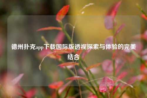 德州扑克app下载国际版透视探索与体验的完美结合