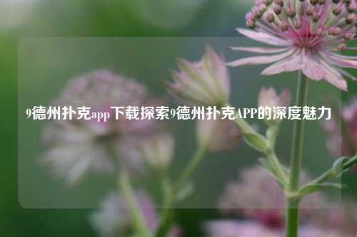 9德州扑克app下载探索9德州扑克APP的深度魅力
