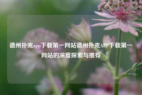德州扑克app下载第一网站德州扑克APP下载第一网站的深度探索与推荐