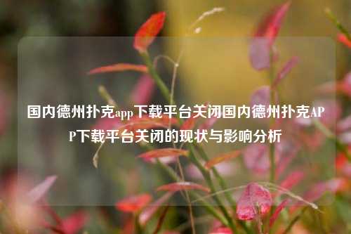 国内德州扑克app下载平台关闭国内德州扑克APP下载平台关闭的现状与影响分析