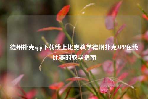 德州扑克app下载线上比赛教学德州扑克APP在线比赛的教学指南