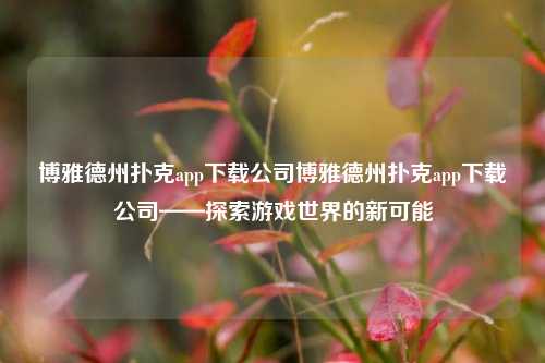 博雅德州扑克app下载公司博雅德州扑克app下载公司——探索游戏世界的新可能