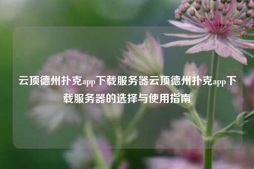 云顶德州扑克app下载服务器云顶德州扑克app下载服务器的选择与使用指南