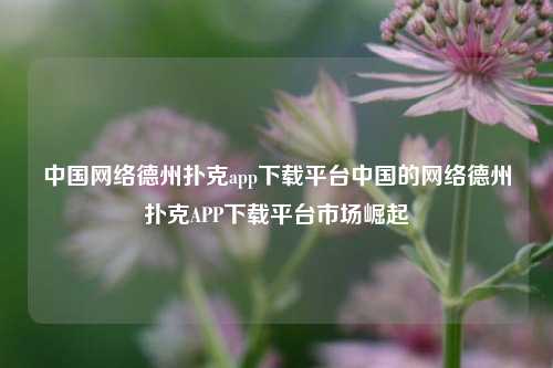 中国网络德州扑克app下载平台中国的网络德州扑克APP下载平台市场崛起