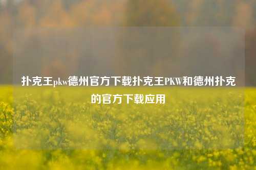 扑克王pkw德州官方下载扑克王PKW和德州扑克的官方下载应用