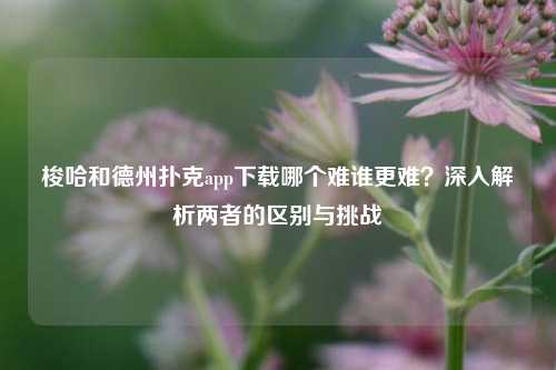梭哈和德州扑克app下载哪个难谁更难？深入解析两者的区别与挑战