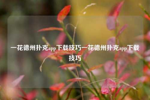 一花德州扑克app下载技巧一花德州扑克app下载技巧