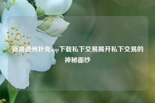 新浪德州扑克app下载私下交易揭开私下交易的神秘面纱