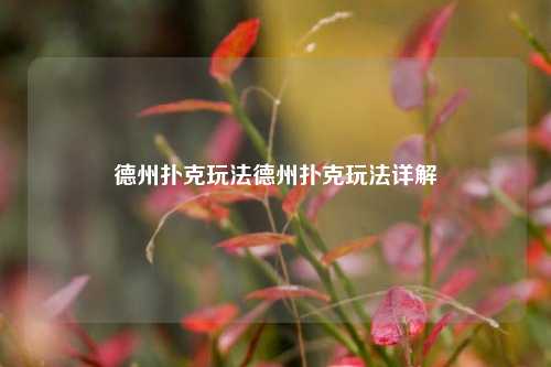 德州扑克玩法德州扑克玩法详解