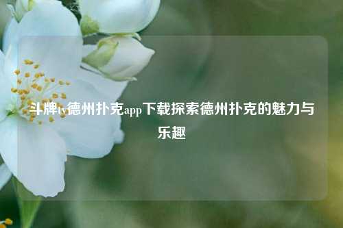 斗牌tv德州扑克app下载探索德州扑克的魅力与乐趣