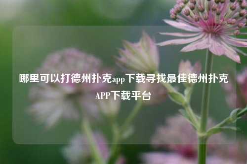哪里可以打德州扑克app下载寻找最佳德州扑克APP下载平台