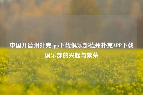 中国开德州扑克app下载俱乐部德州扑克APP下载俱乐部的兴起与繁荣