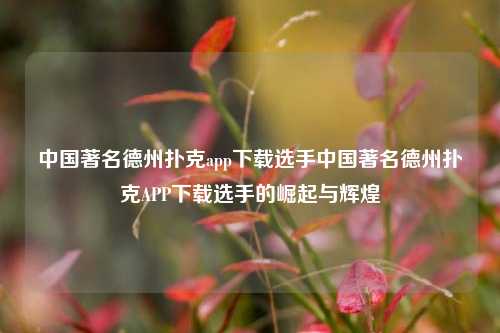 中国著名德州扑克app下载选手中国著名德州扑克APP下载选手的崛起与辉煌
