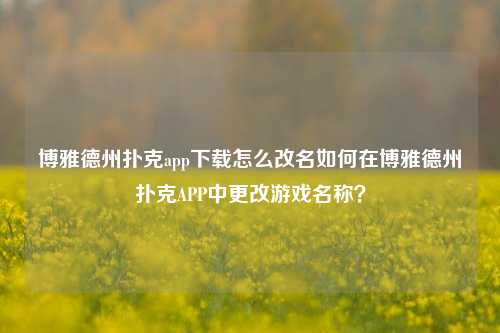 博雅德州扑克app下载怎么改名如何在博雅德州扑克APP中更改游戏名称？
