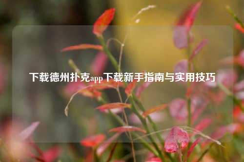 下载德州扑克app下载新手指南与实用技巧