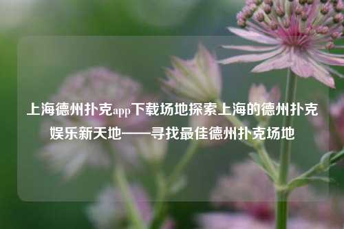 上海德州扑克app下载场地探索上海的德州扑克娱乐新天地——寻找最佳德州扑克场地