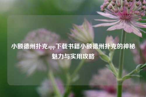 小额德州扑克app下载书籍小额德州扑克的神秘魅力与实用攻略