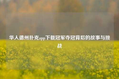 华人德州扑克app下载冠军夺冠背后的故事与挑战