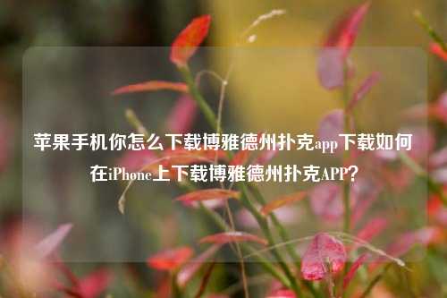 苹果手机你怎么下载博雅德州扑克app下载如何在iPhone上下载博雅德州扑克APP？