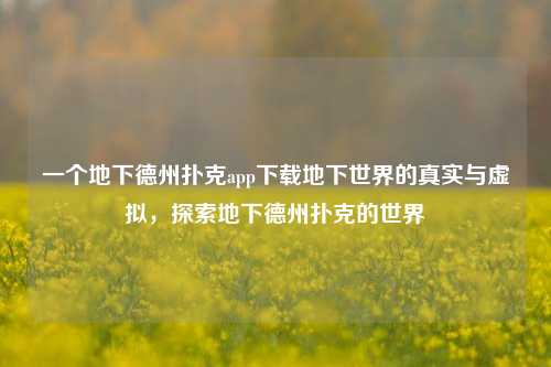 一个地下德州扑克app下载地下世界的真实与虚拟，探索地下德州扑克的世界