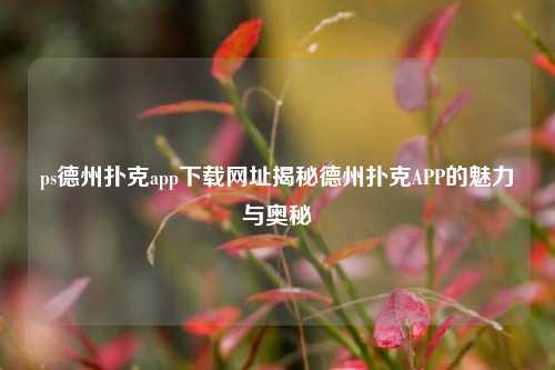 ps德州扑克app下载网址揭秘德州扑克APP的魅力与奥秘