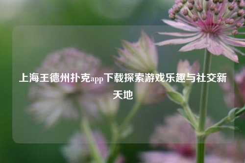 上海王德州扑克app下载探索游戏乐趣与社交新天地