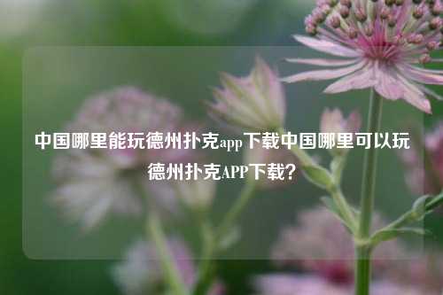 中国哪里能玩德州扑克app下载中国哪里可以玩德州扑克APP下载？