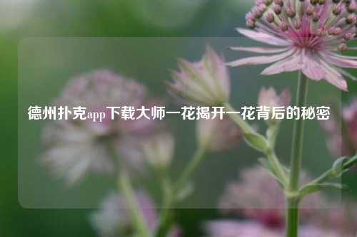 德州扑克app下载大师一花揭开一花背后的秘密