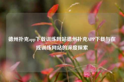 德州扑克app下载训练网站德州扑克APP下载与在线训练网站的深度探索