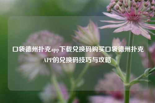 口袋德州扑克app下载兑换码购买口袋德州扑克APP的兑换码技巧与攻略