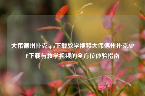大伟德州扑克app下载教学视频大伟德州扑克APP下载与教学视频的全方位体验指南
