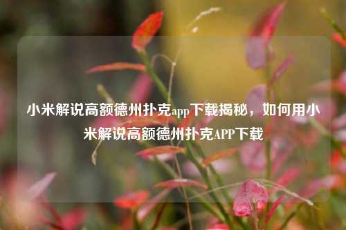 小米解说高额德州扑克app下载揭秘，如何用小米解说高额德州扑克APP下载