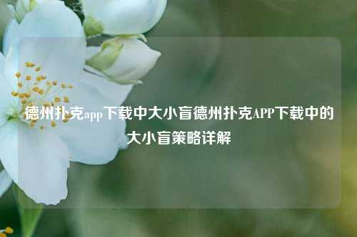德州扑克app下载中大小盲德州扑克APP下载中的大小盲策略详解