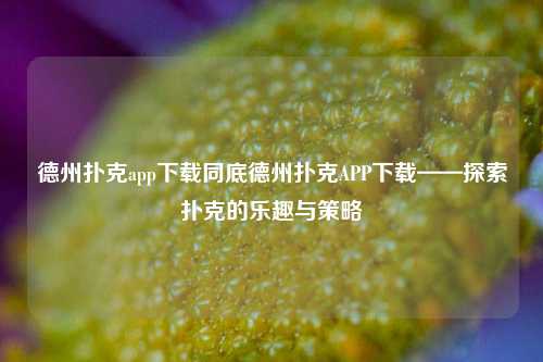 德州扑克app下载同底德州扑克APP下载——探索扑克的乐趣与策略
