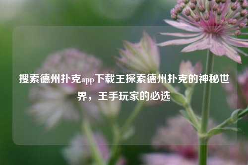 搜索德州扑克app下载王探索德州扑克的神秘世界，王手玩家的必选
