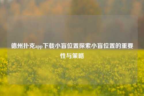 德州扑克app下载小盲位置探索小盲位置的重要性与策略