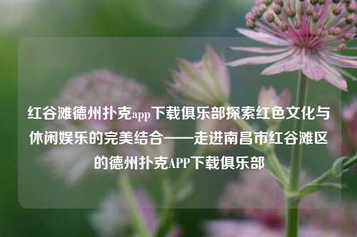 红谷滩德州扑克app下载俱乐部探索红色文化与休闲娱乐的完美结合——走进南昌市红谷滩区的德州扑克APP下载俱乐部